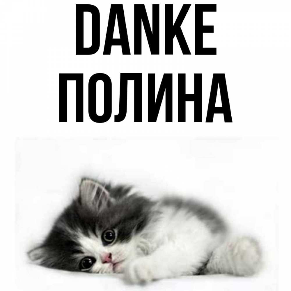 Открытка на каждый день с именем, Полина Danke черный и белый кот Прикольная открытка с пожеланием онлайн скачать бесплатно 