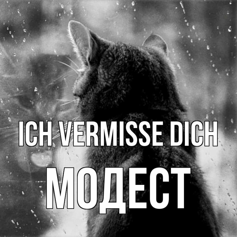 Открытка на каждый день с именем, Модест Ich vermisse dich скорее ко мне приходи 1 Прикольная открытка с пожеланием онлайн скачать бесплатно 