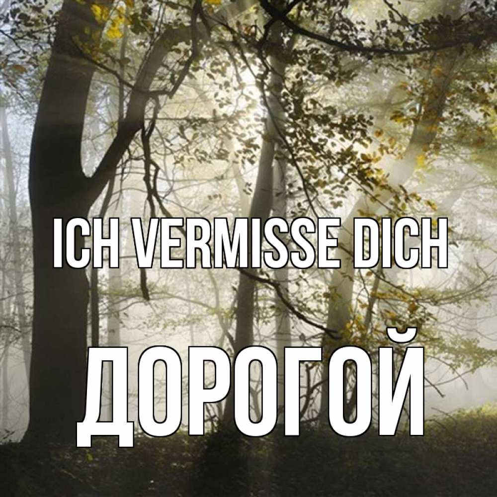 Открытка на каждый день с именем, Дорогой Ich vermisse dich грустно Прикольная открытка с пожеланием онлайн скачать бесплатно 