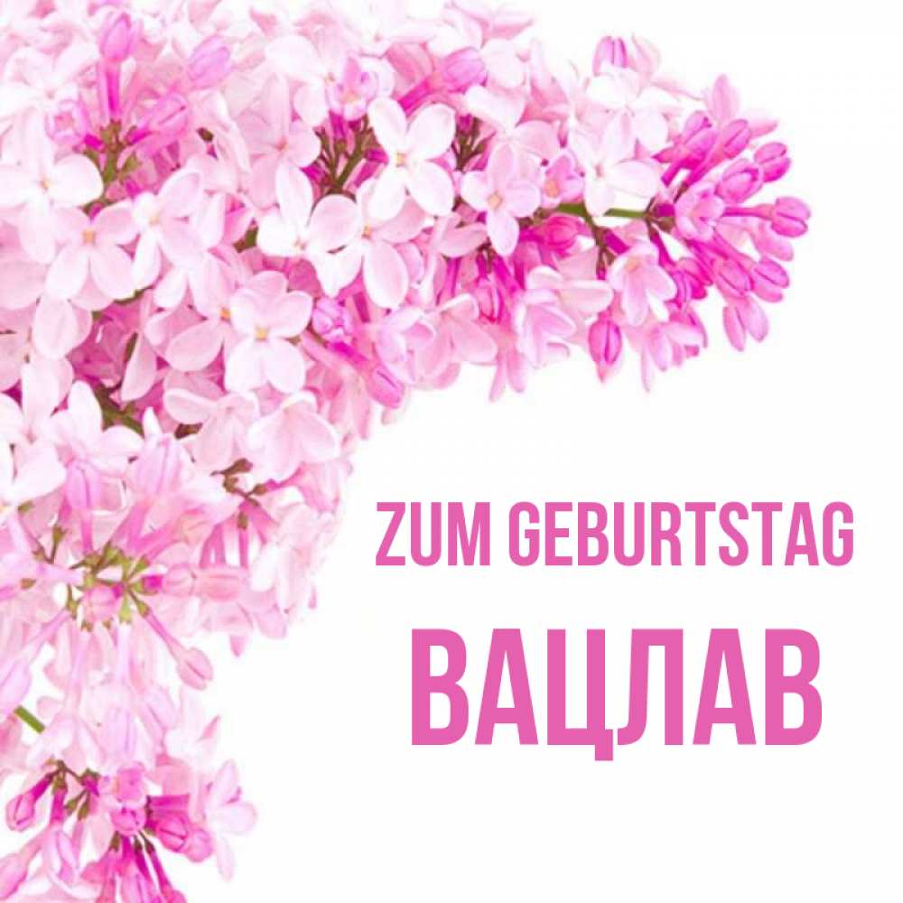 Открытка на каждый день с именем, Вацлав Zum Geburtstag Сирень на белом фоне Прикольная открытка с пожеланием онлайн скачать бесплатно 