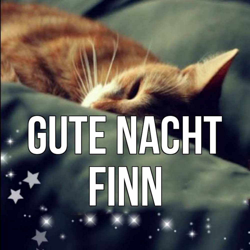 Открытка на каждый день с именем, Finn Gute Nacht кроватка Прикольная открытка с пожеланием онлайн скачать бесплатно 