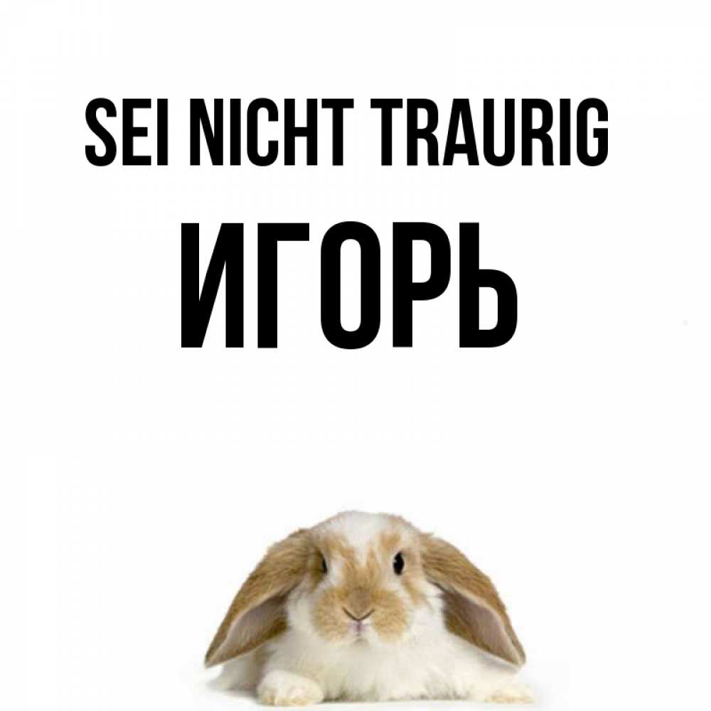 Открытка на каждый день с именем, Игорь Sei nicht traurig коричнево белый заяц с большими ушками Прикольная открытка с пожеланием онлайн скачать бесплатно 