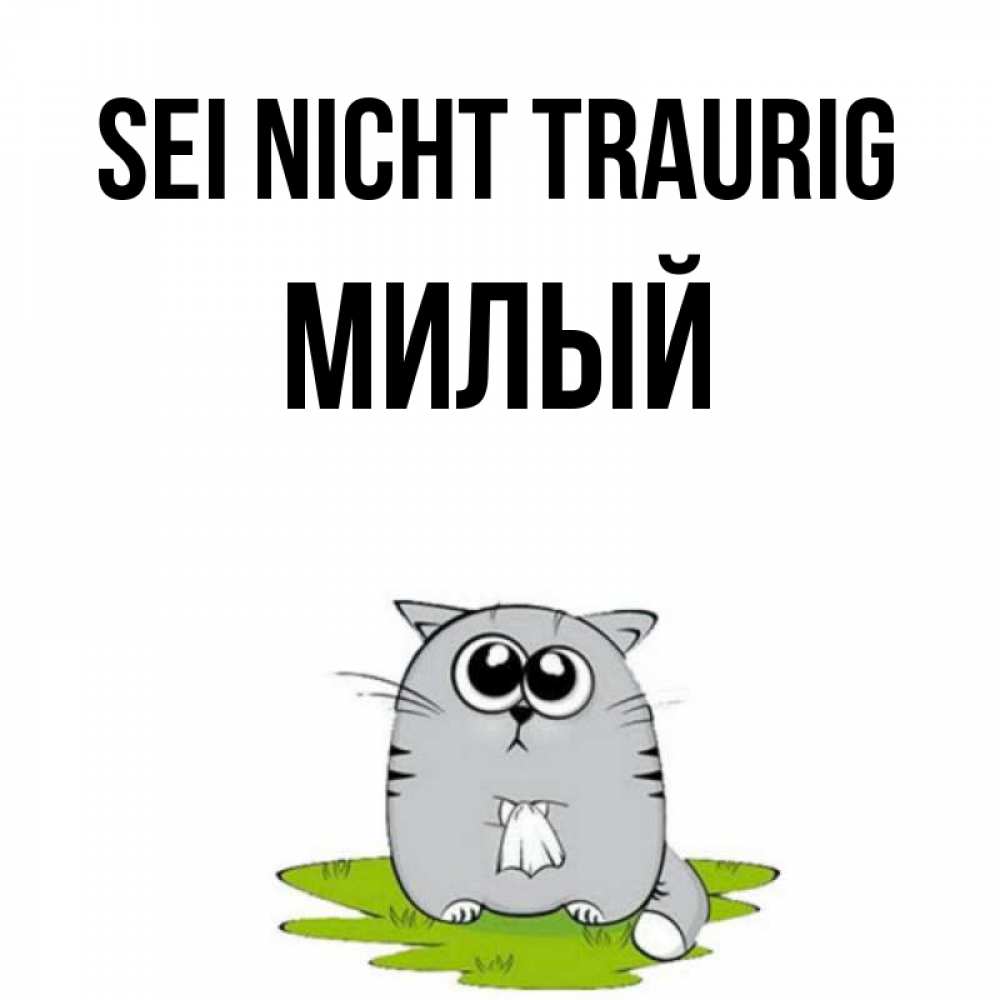 Открытка на каждый день с именем, Милый Sei nicht traurig грустный котяра Прикольная открытка с пожеланием онлайн скачать бесплатно 