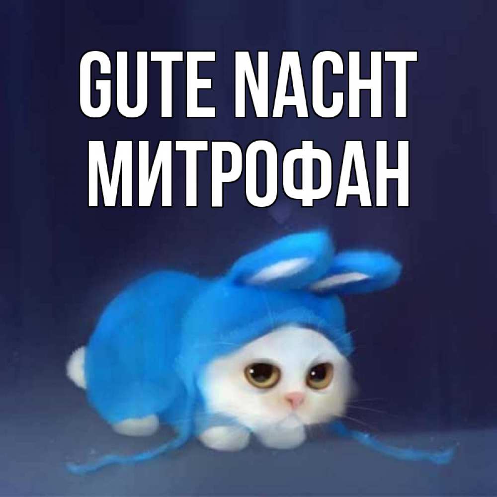 Открытка на каждый день с именем, Митрофан Gute Nacht кот в голубом костюме кролика с ушками Прикольная открытка с пожеланием онлайн скачать бесплатно 