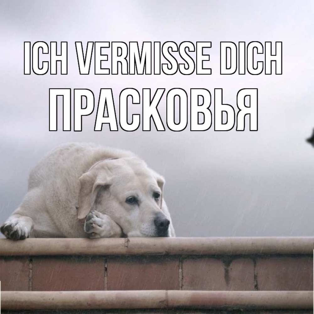 Открытка на каждый день с именем, Прасковья Ich vermisse dich ждет Прикольная открытка с пожеланием онлайн скачать бесплатно 