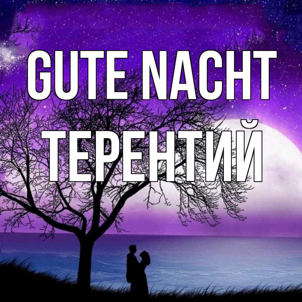 Открытка на каждый день с именем, Терентий Gute Nacht огромная луна и парочка Прикольная открытка с пожеланием онлайн скачать бесплатно 