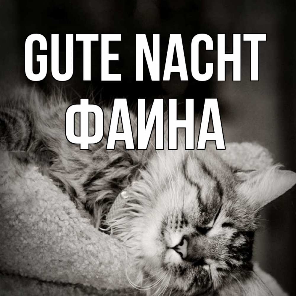 Открытка на каждый день с именем, Фаина Gute Nacht котярик пушистый Прикольная открытка с пожеланием онлайн скачать бесплатно 