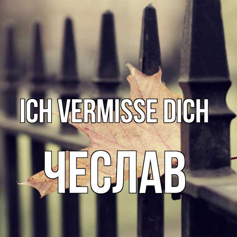 Открытка на каждый день с именем, Чеслав Ich vermisse dich очень скучно Прикольная открытка с пожеланием онлайн скачать бесплатно 