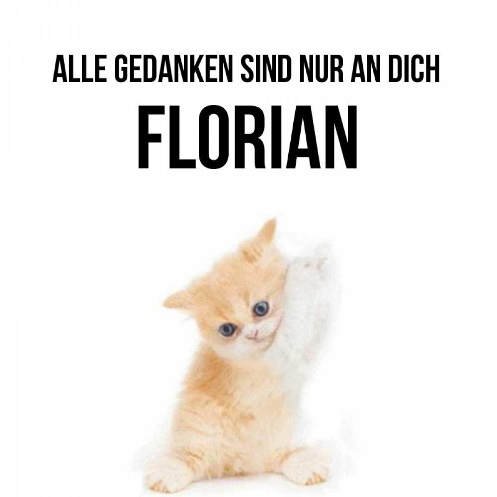 Открытка на каждый день с именем, Florian Alle Gedanken sind nur an dich зверушки и милота Прикольная открытка с пожеланием онлайн скачать бесплатно 