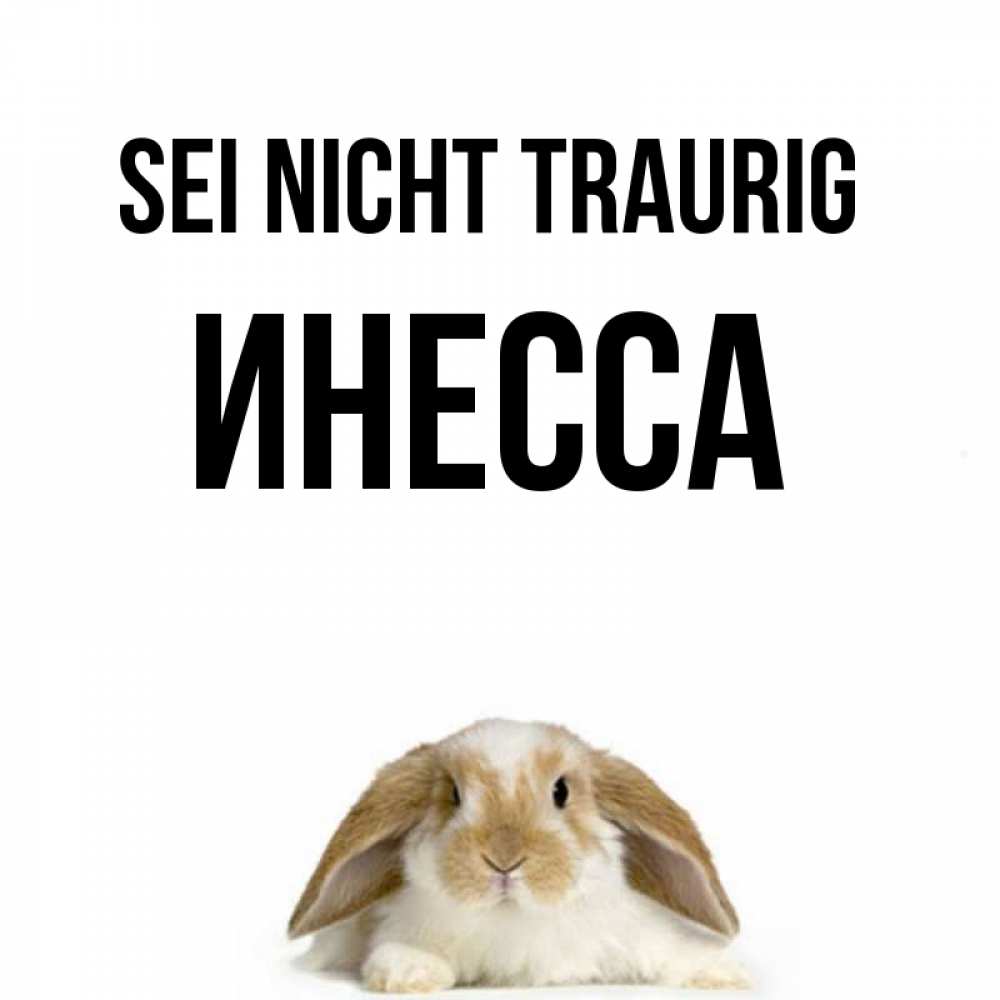 Открытка на каждый день с именем, Инесса Sei nicht traurig коричнево белый заяц с большими ушками Прикольная открытка с пожеланием онлайн скачать бесплатно 
