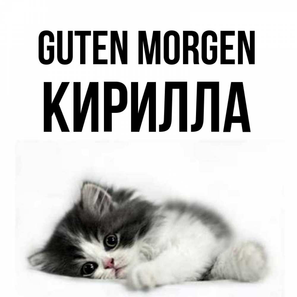 Открытка на каждый день с именем, Кирилла Guten Morgen кот лапки Прикольная открытка с пожеланием онлайн скачать бесплатно 