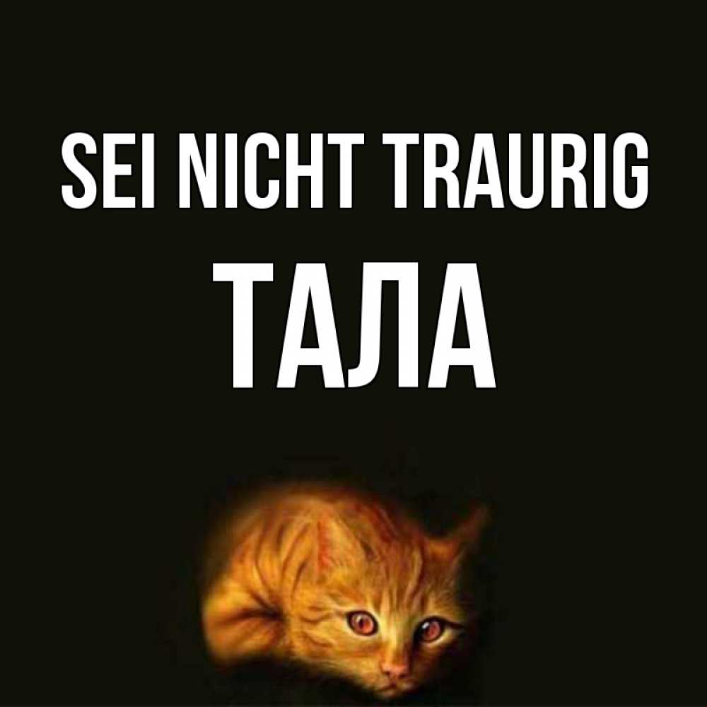 Открытка на каждый день с именем, Тала Sei nicht traurig лежащий кот в темноте Прикольная открытка с пожеланием онлайн скачать бесплатно 