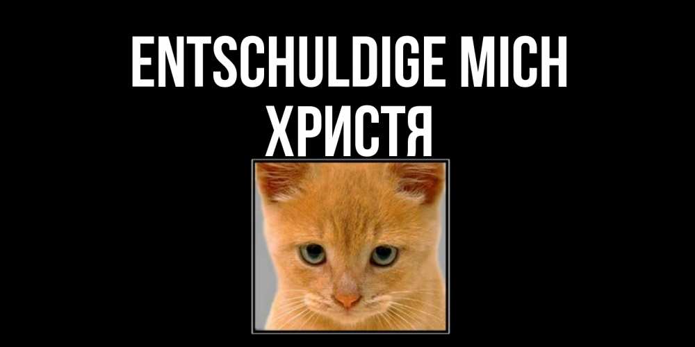 Открытка на каждый день с именем, Христя Entschuldige mich рыжий грустный кот просит прощения Прикольная открытка с пожеланием онлайн скачать бесплатно 
