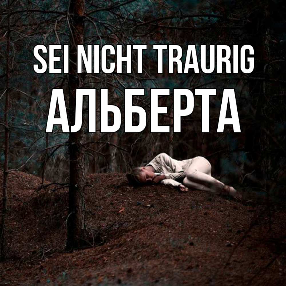 Открытка на каждый день с именем, Альберта Sei nicht traurig лес Прикольная открытка с пожеланием онлайн скачать бесплатно 