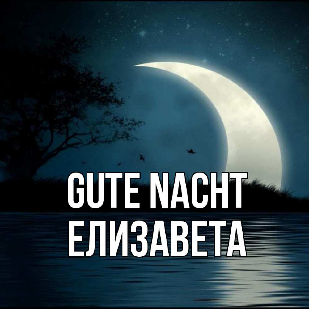 Открытка на каждый день с именем, Елизавета Gute Nacht вода Прикольная открытка с пожеланием онлайн скачать бесплатно 