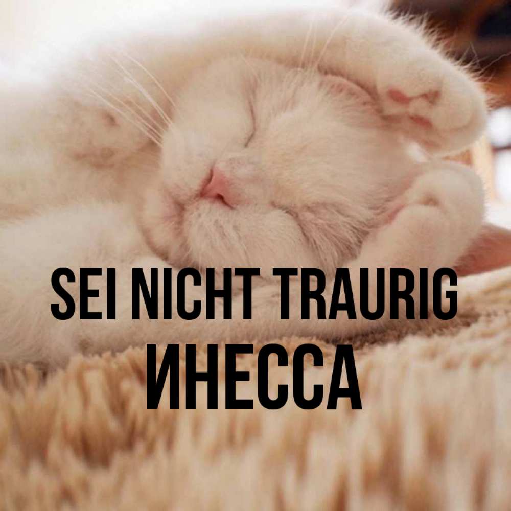 Открытка на каждый день с именем, Инесса Sei nicht traurig Котенок спит Прикольная открытка с пожеланием онлайн скачать бесплатно 