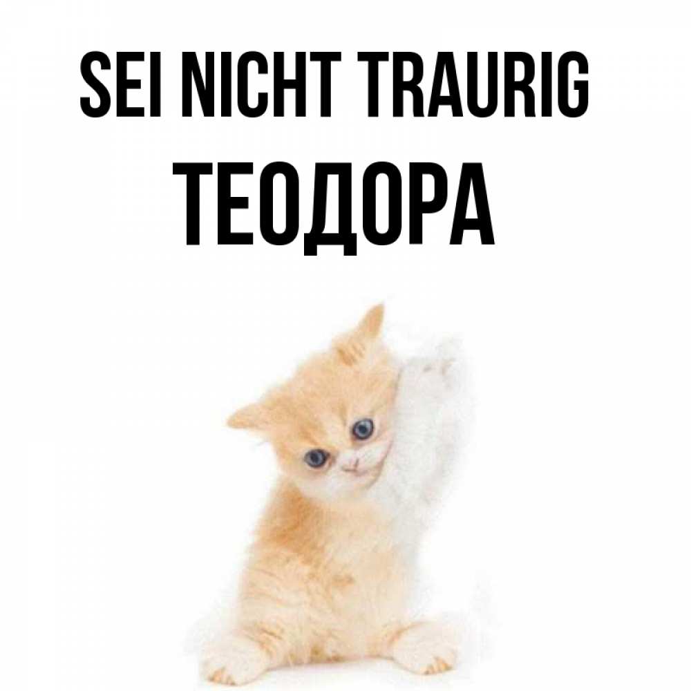 Открытка на каждый день с именем, Теодора Sei nicht traurig просящий кот Прикольная открытка с пожеланием онлайн скачать бесплатно 