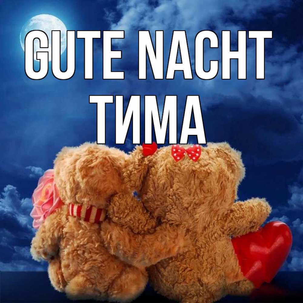 Открытка на каждый день с именем, Тима Gute Nacht плюшевые Прикольная открытка с пожеланием онлайн скачать бесплатно 