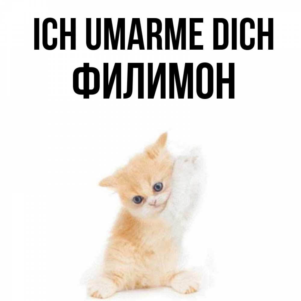 Открытка на каждый день с именем, Филимон Ich umarme dich я хочу очень скорее обнимаешек Прикольная открытка с пожеланием онлайн скачать бесплатно 