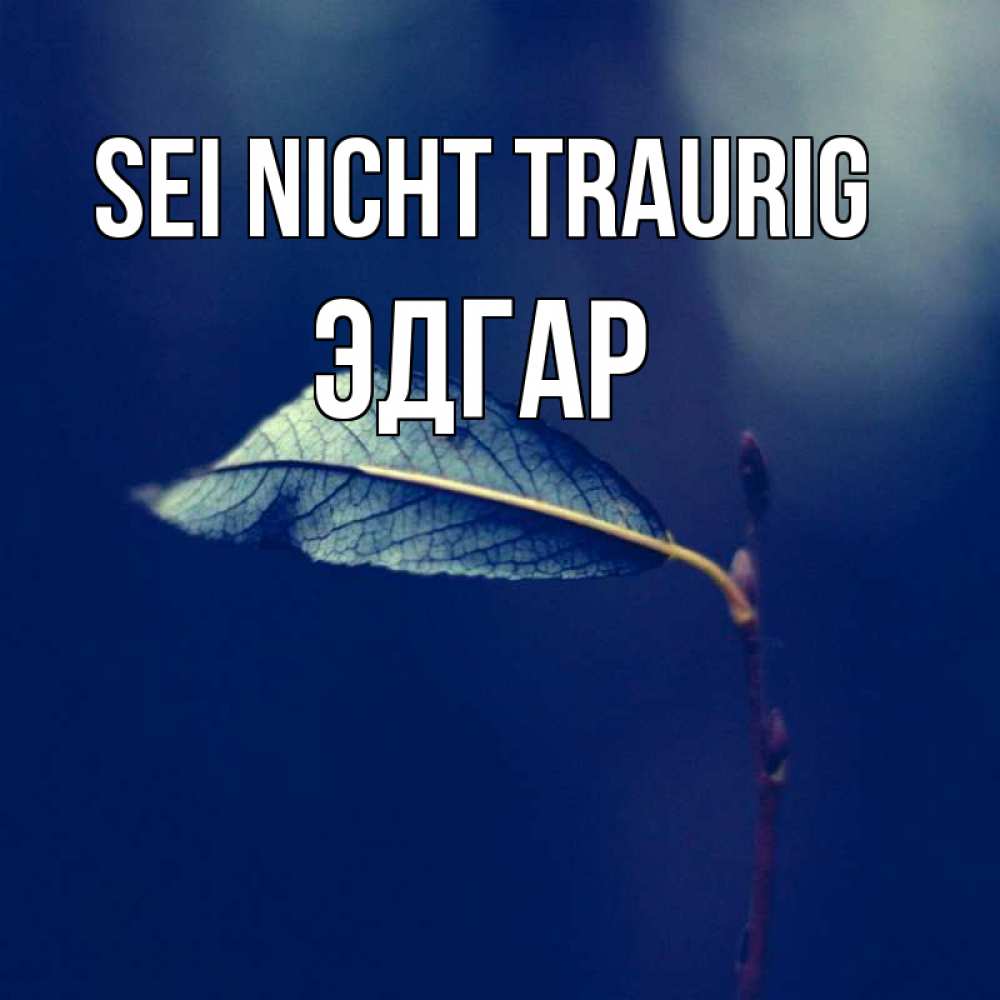 Открытка на каждый день с именем, Эдгар Sei nicht traurig растение Прикольная открытка с пожеланием онлайн скачать бесплатно 