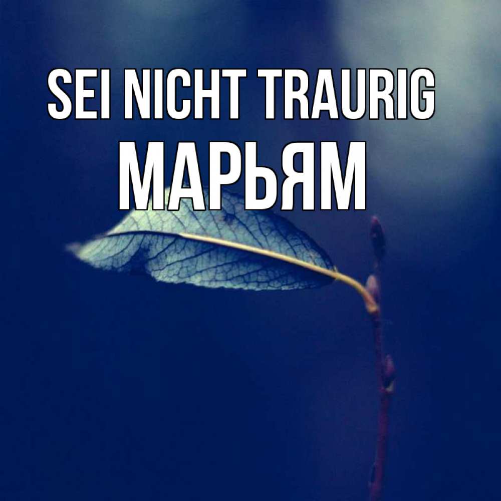 Открытка на каждый день с именем, Марьям Sei nicht traurig растение Прикольная открытка с пожеланием онлайн скачать бесплатно 
