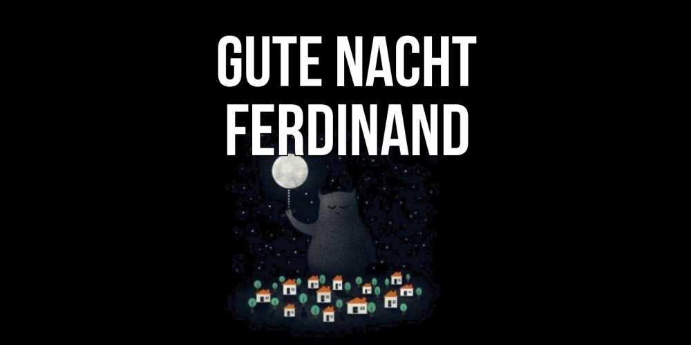 Открытка на каждый день с именем, Ferdinand Gute Nacht кот,луна, ночь, звезды Прикольная открытка с пожеланием онлайн скачать бесплатно 