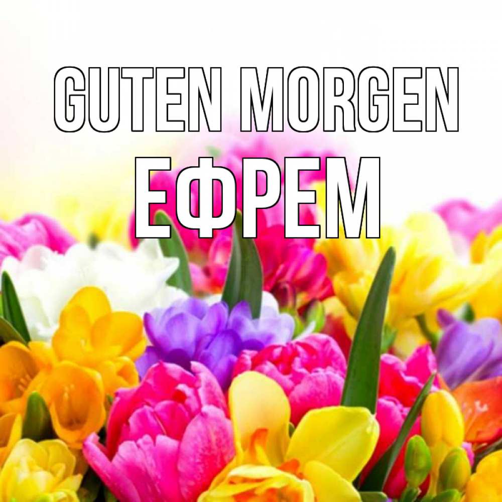 Открытка на каждый день с именем, Ефрем Guten Morgen создать открытку со свое подписью Прикольная открытка с пожеланием онлайн скачать бесплатно 