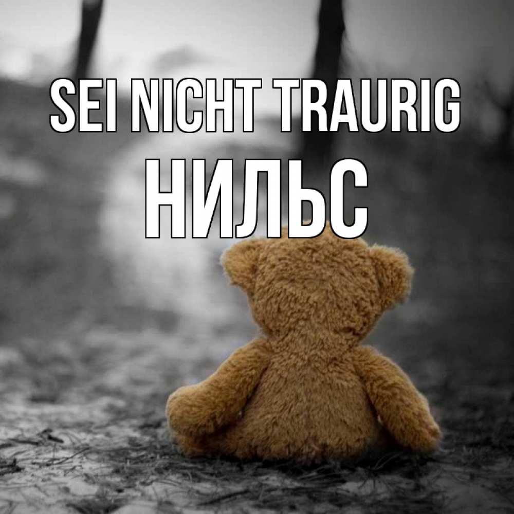Открытка на каждый день с именем, Нильс Sei nicht traurig медведь со спин Прикольная открытка с пожеланием онлайн скачать бесплатно 