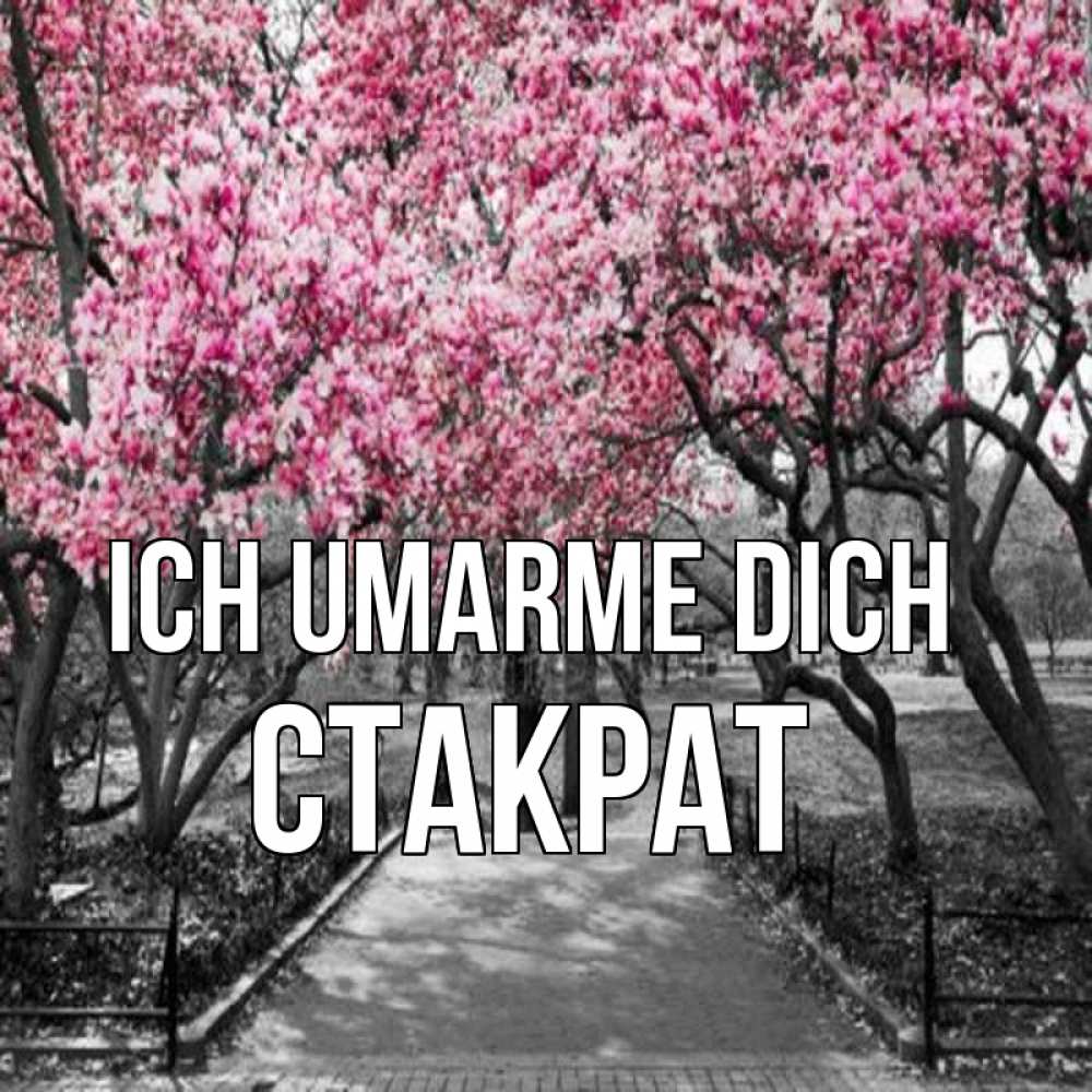 Открытка на каждый день с именем, Стакрат Ich umarme dich обработанное фото Прикольная открытка с пожеланием онлайн скачать бесплатно 