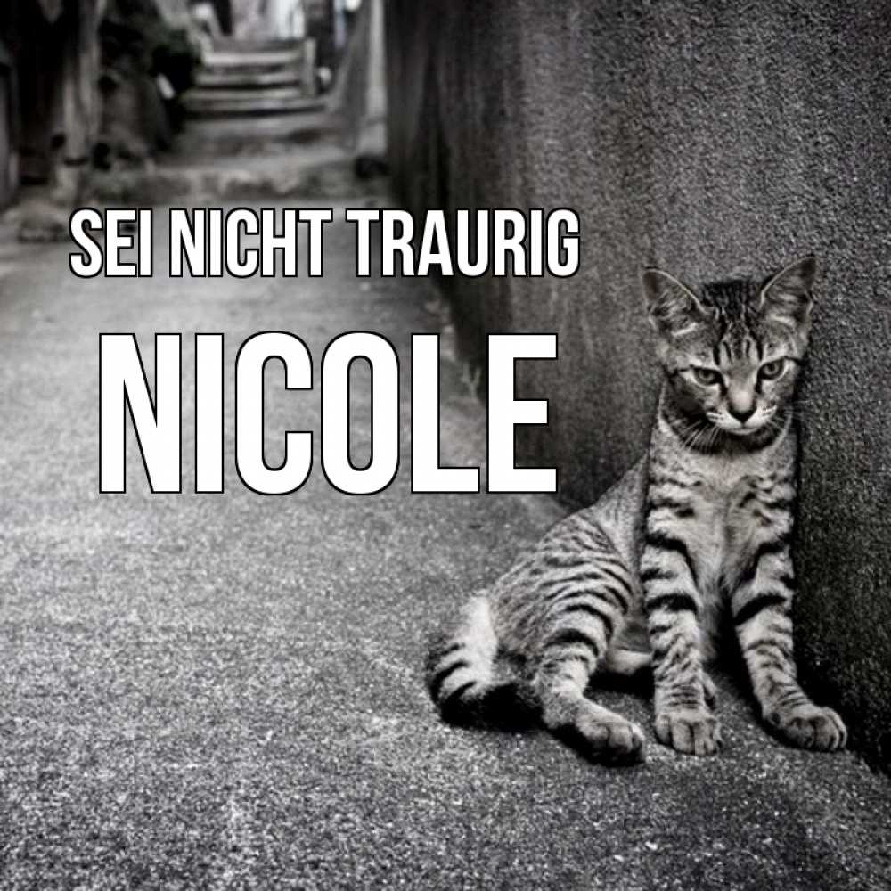 Открытка на каждый день с именем, Nicole Sei nicht traurig скучающий котик Прикольная открытка с пожеланием онлайн скачать бесплатно 
