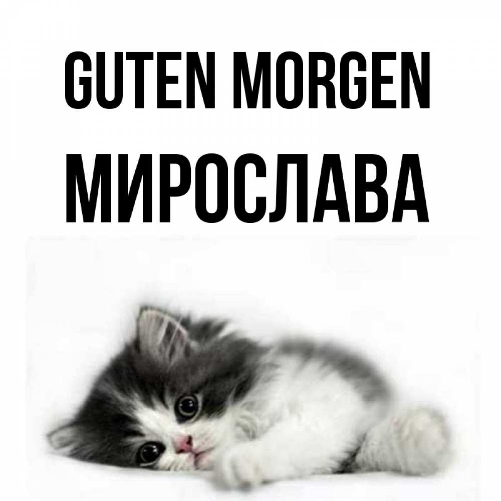Открытка на каждый день с именем, Мирослава Guten Morgen кот лапки Прикольная открытка с пожеланием онлайн скачать бесплатно 