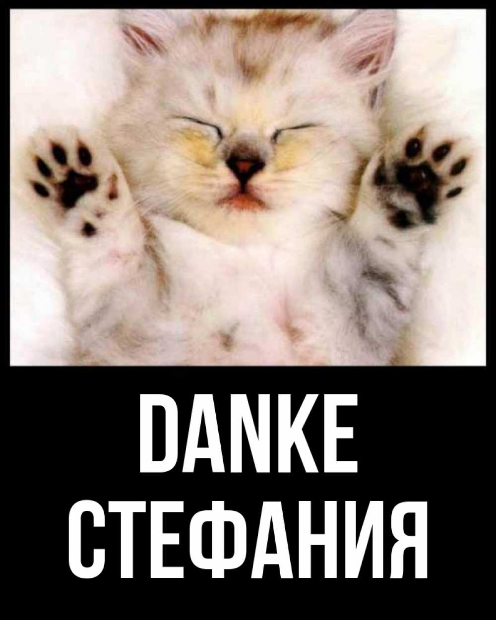 Открытка на каждый день с именем, Стефания Danke маленький котенок Прикольная открытка с пожеланием онлайн скачать бесплатно 