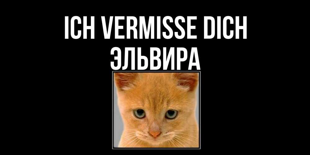 Открытка на каждый день с именем, Эльвира Ich vermisse dich открытки рыжий котенок скучает по тебе Прикольная открытка с пожеланием онлайн скачать бесплатно 