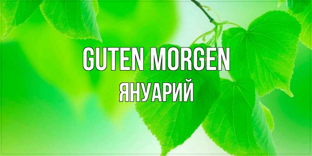 Открытка на каждый день с именем, Януарий Guten Morgen доброе утро с березовыми листьями Прикольная открытка с пожеланием онлайн скачать бесплатно 