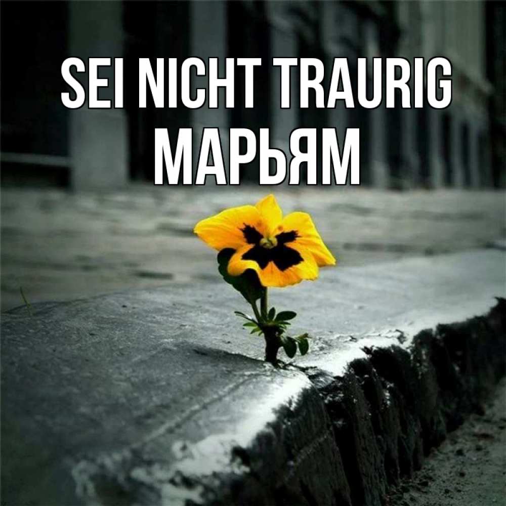 Открытка на каждый день с именем, Марьям Sei nicht traurig не сдавайся Прикольная открытка с пожеланием онлайн скачать бесплатно 