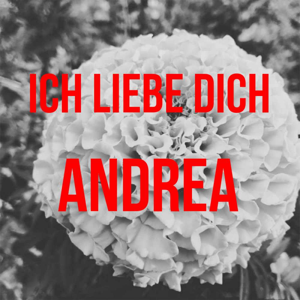 Открытка на каждый день с именем, Andrea Ich liebe dich подпись Прикольная открытка с пожеланием онлайн скачать бесплатно 