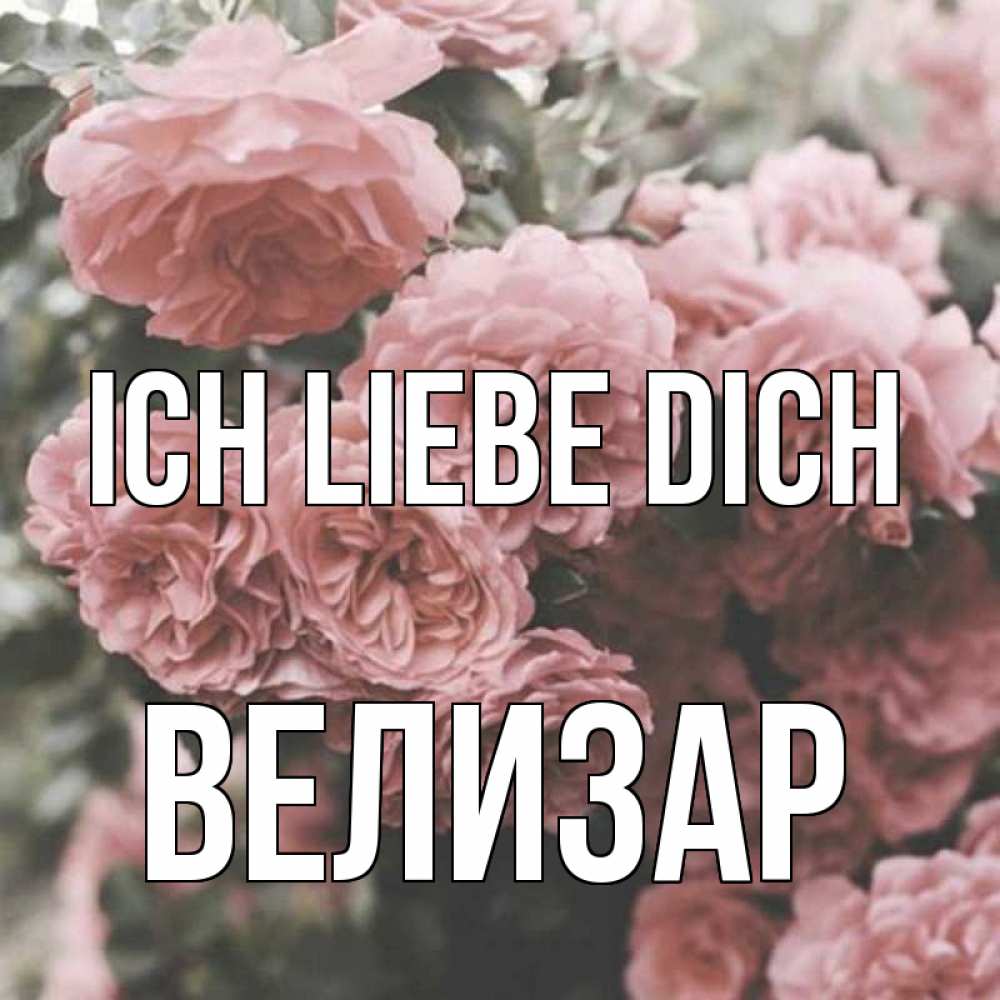 Открытка на каждый день с именем, Велизар Ich liebe dich розы 3 Прикольная открытка с пожеланием онлайн скачать бесплатно 