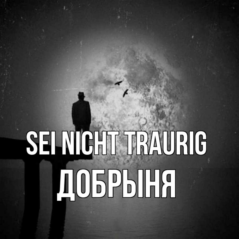 Открытка на каждый день с именем, Добрыня Sei nicht traurig мужчина на мосту Прикольная открытка с пожеланием онлайн скачать бесплатно 