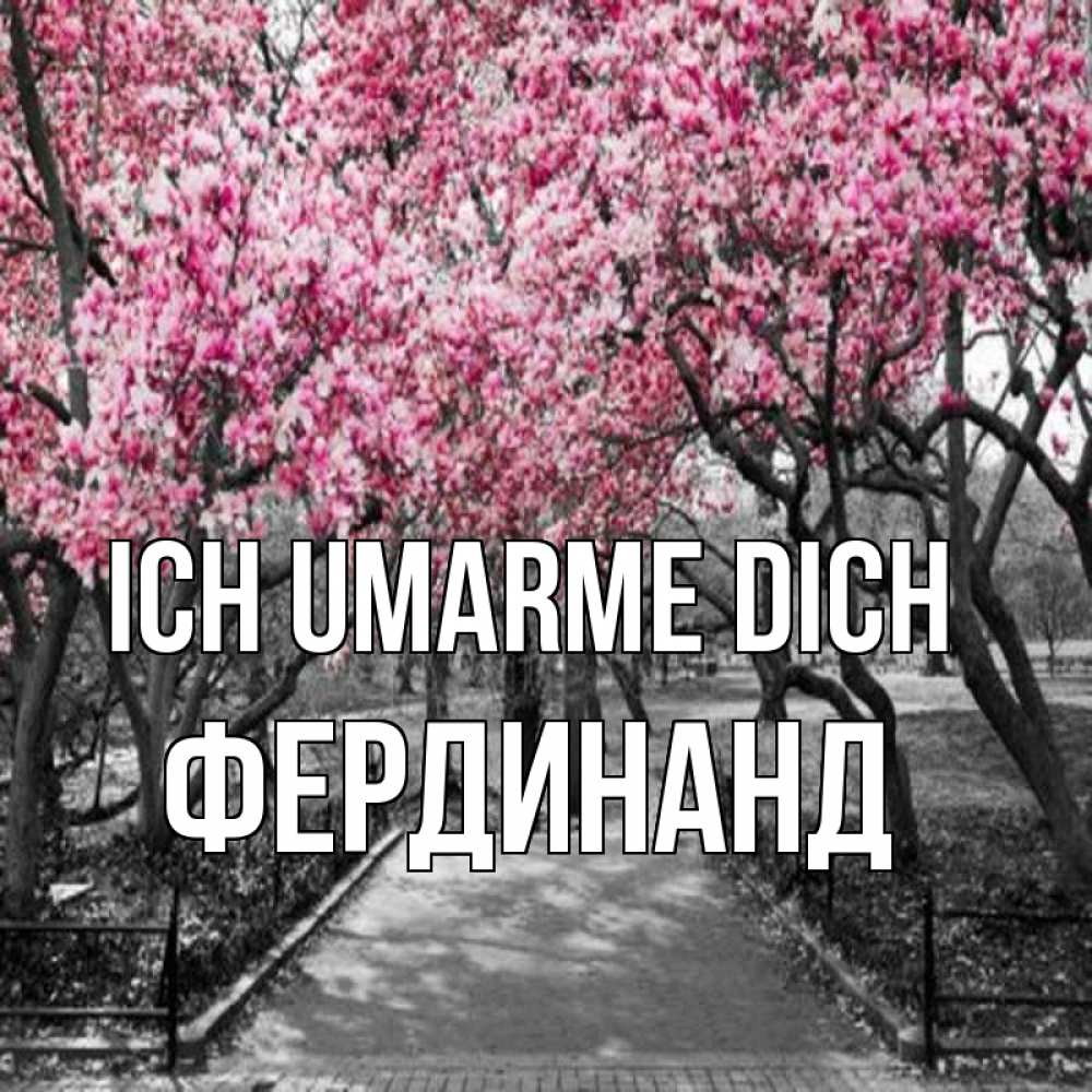 Открытка на каждый день с именем, Фердинанд Ich umarme dich обработанное фото Прикольная открытка с пожеланием онлайн скачать бесплатно 