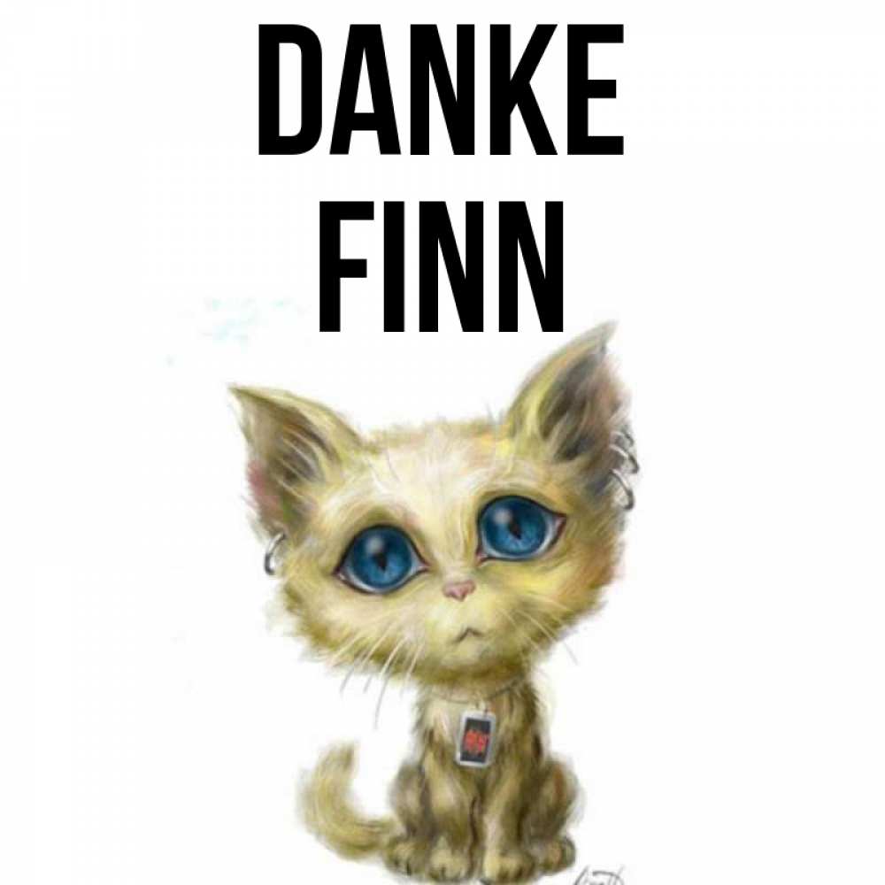 Открытка на каждый день с именем, Finn Danke рисованный кот благодарит вас Прикольная открытка с пожеланием онлайн скачать бесплатно 