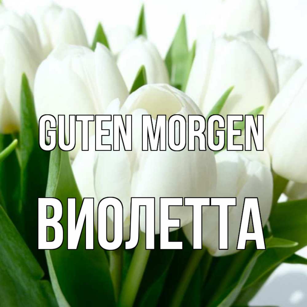 Открытка на каждый день с именем, Виолетта Guten Morgen открытки на каждый день по именам Прикольная открытка с пожеланием онлайн скачать бесплатно 