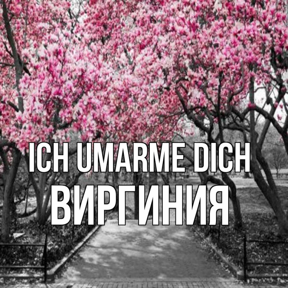 Открытка на каждый день с именем, Виргиния Ich umarme dich обработанное фото Прикольная открытка с пожеланием онлайн скачать бесплатно 