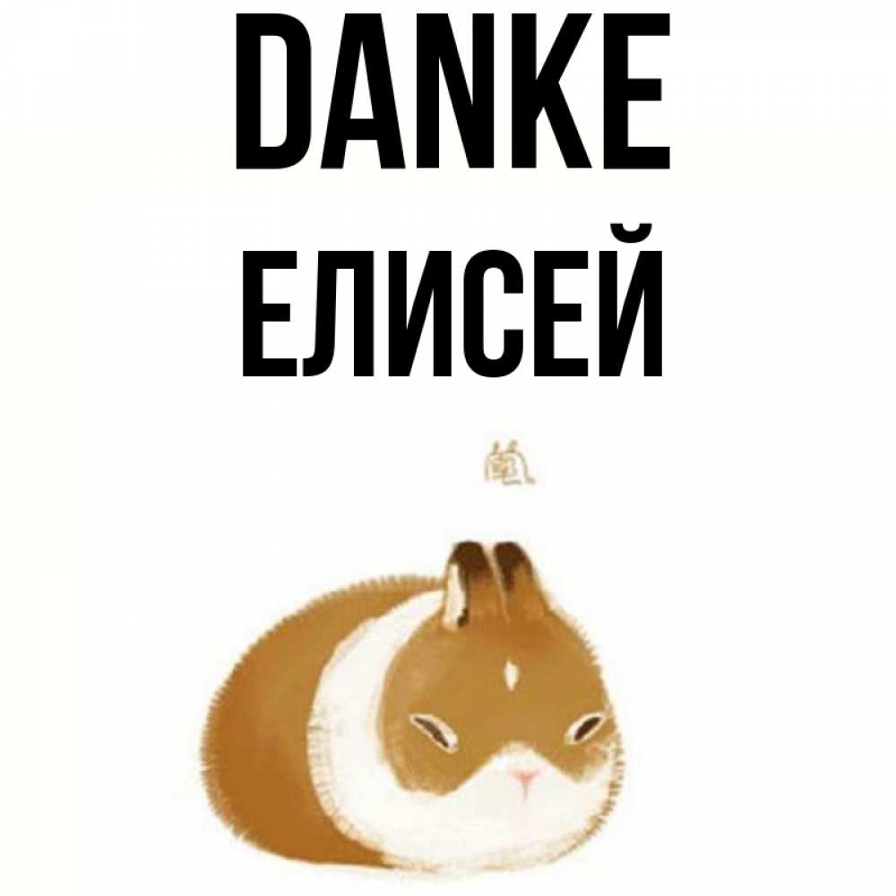 Открытка на каждый день с именем, Елисей Danke коричнево белый домашний питомец Прикольная открытка с пожеланием онлайн скачать бесплатно 