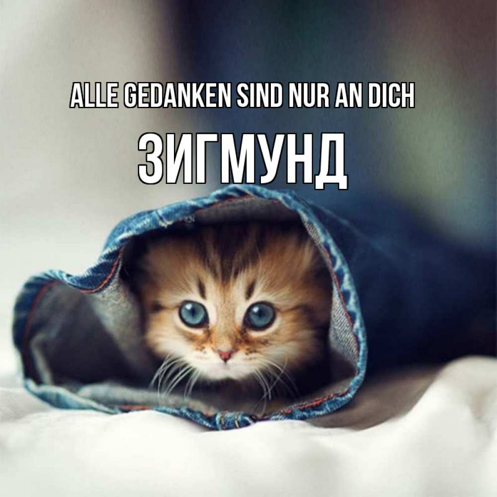 Открытка на каждый день с именем, Зигмунд Alle Gedanken sind nur an dich мне без тебя плохо Прикольная открытка с пожеланием онлайн скачать бесплатно 