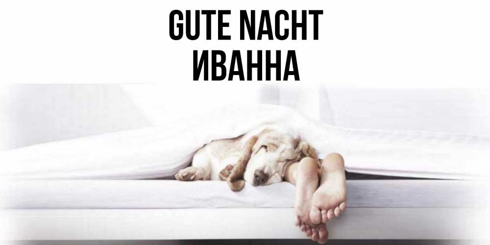 Открытка на каждый день с именем, Иванна Gute Nacht кровать с собакой пожелание сладких снов и спокойной ночи Прикольная открытка с пожеланием онлайн скачать бесплатно 