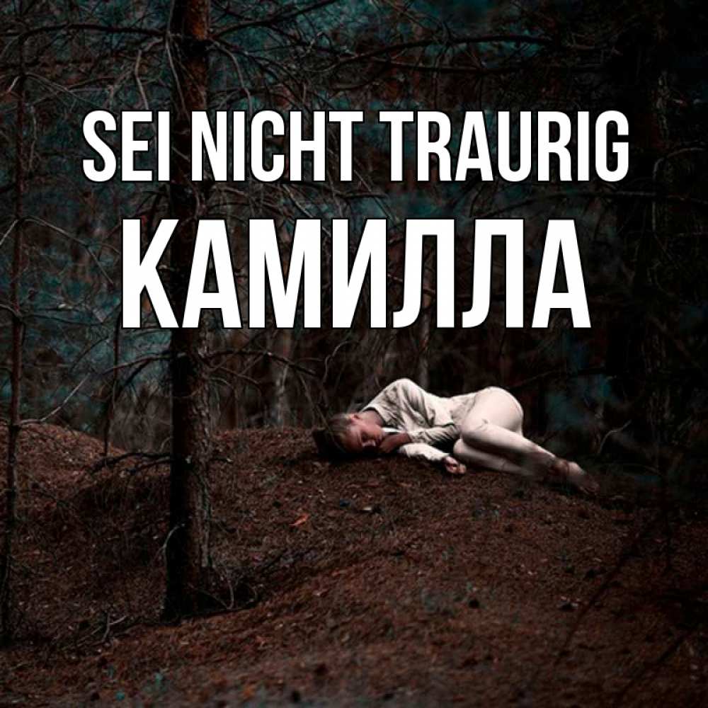 Открытка на каждый день с именем, Камилла Sei nicht traurig лес Прикольная открытка с пожеланием онлайн скачать бесплатно 