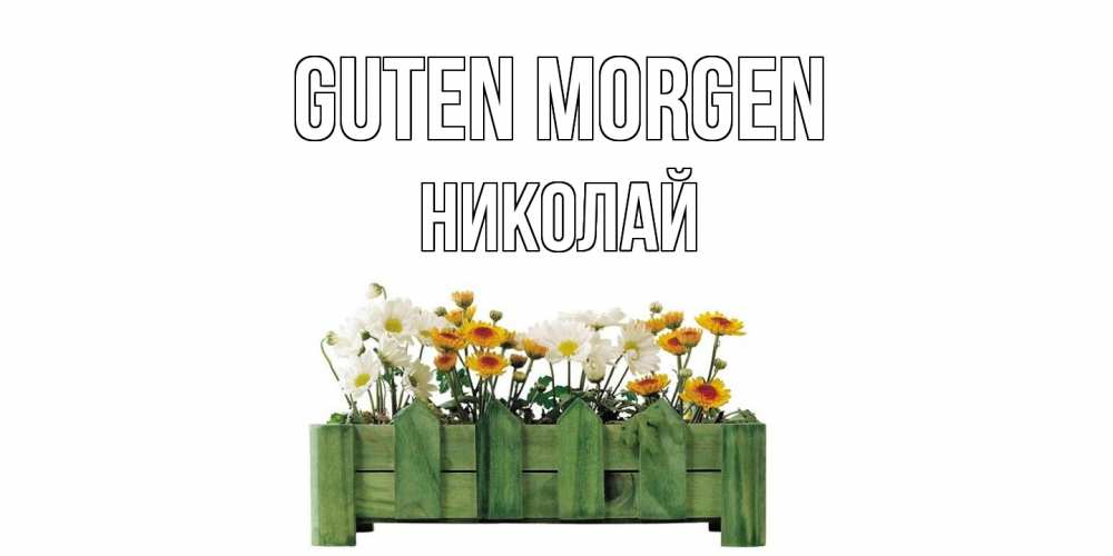 Открытка на каждый день с именем, Николай Guten Morgen цветы Прикольная открытка с пожеланием онлайн скачать бесплатно 