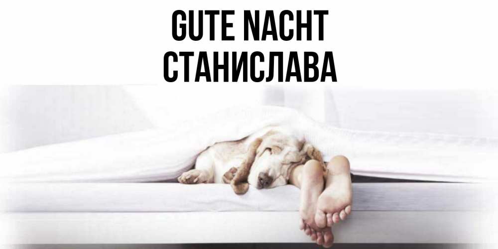 Открытка на каждый день с именем, Станислава Gute Nacht кровать с собакой пожелание сладких снов и спокойной ночи Прикольная открытка с пожеланием онлайн скачать бесплатно 