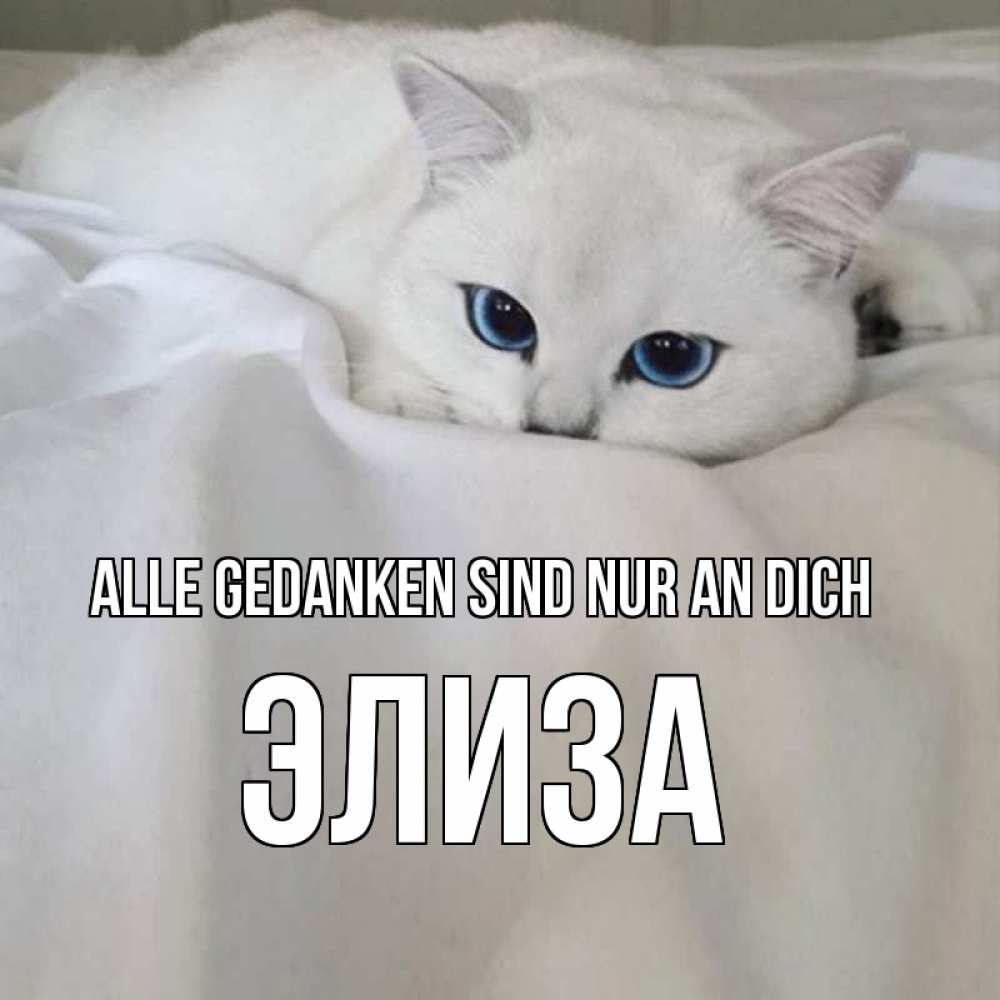 Открытка на каждый день с именем, Элиза Alle Gedanken sind nur an dich я очень по тебе скучаю и тоскую Прикольная открытка с пожеланием онлайн скачать бесплатно 