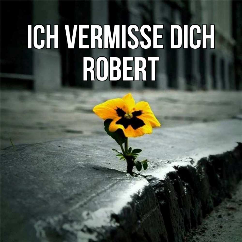 Открытка на каждый день с именем, Robert Ich vermisse dich надеюсь будет лучше Прикольная открытка с пожеланием онлайн скачать бесплатно 